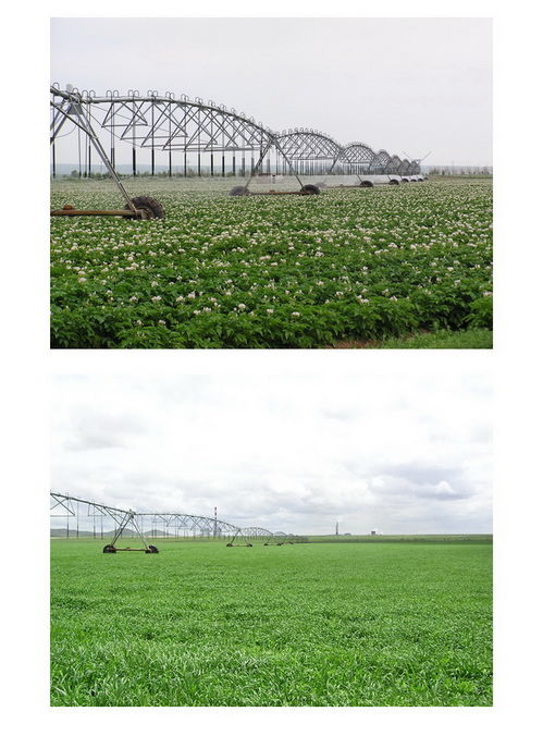 大型时针式喷灌机在大田作物灌溉中的技术应用 网上讲座 中国节水灌溉网