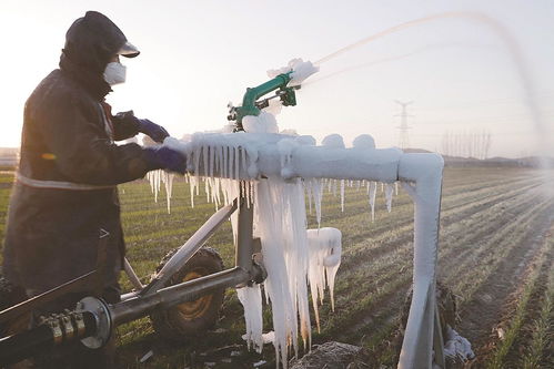 首次发布寒潮橙色预警 唐山出现入冬以来最强寒潮天气