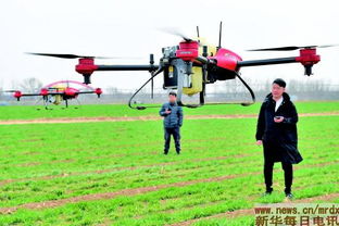 种子从论斤到论粒卖，今年春耕3大变化释放新信号