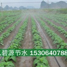喷灌机 现代农业的高效节水利器