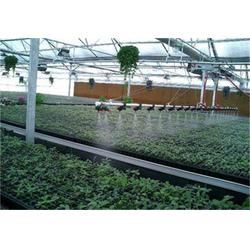 大棚育苗智能洒水车移动喷灌机 厂价销售优势解析