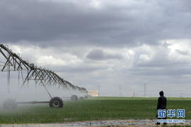 走基层 听民声 调整农业种植结构助农增收