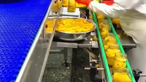 精确称重 罐头厂老板的成本控制之道