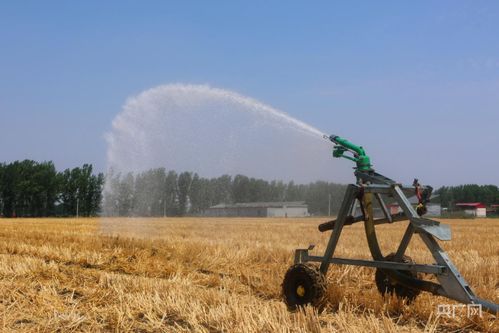 南阳社旗县抗旱保秋 喷灌机助力农田灌溉